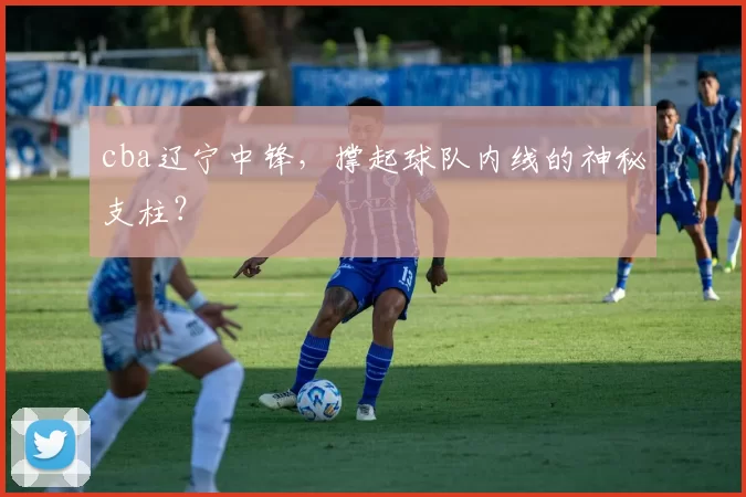 cba辽宁中锋，撑起球队内线的神秘支柱？