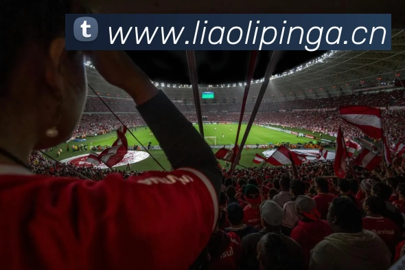 多媒体互动体验